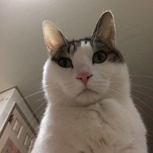 Meet your Posher, 유림